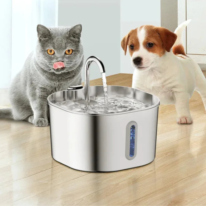 Elevate Your Pet's Hydration and Well-Being
